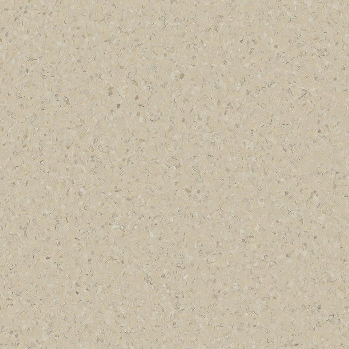 Accolade Foothold® Vinyl Sheet Flooring