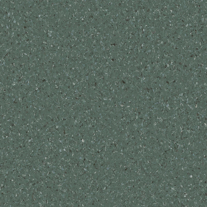 Accolade Plus® Vinyl Sheet Flooring