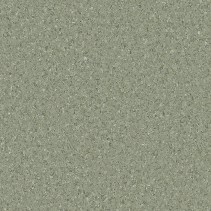 Accolade Foothold® Vinyl Sheet Flooring