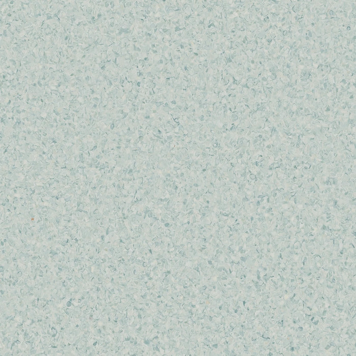 Accolade Foothold® Vinyl Sheet Flooring