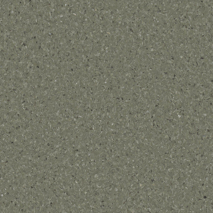 Accolade Plus® Vinyl Sheet Flooring