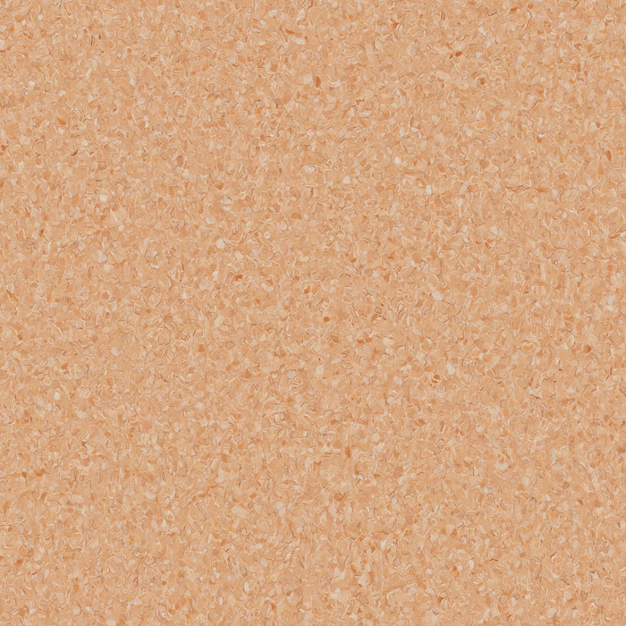 Accolade Foothold® Vinyl Sheet Flooring