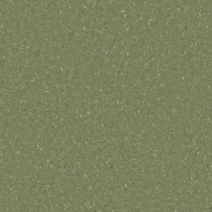Accolade Plus® Vinyl Sheet Flooring