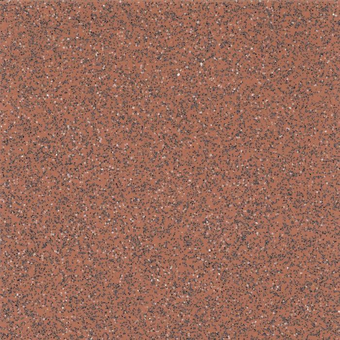 Safeguard® R12 Vinyl Safety Flooring