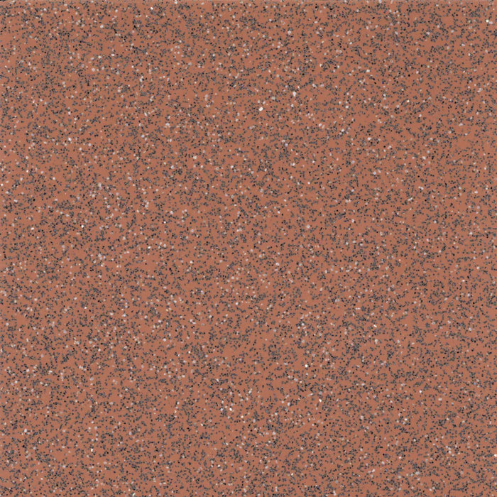 Safeguard® R10 Vinyl Safety Flooring