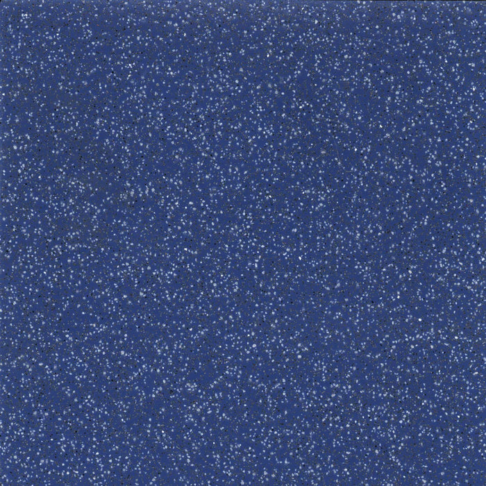 Safeguard® R12 Vinyl Safety Flooring