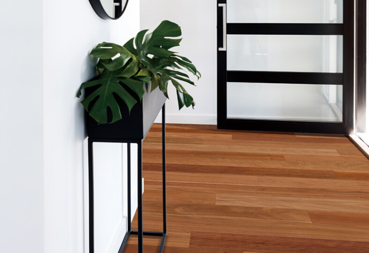 Brushbox Australian Engineered Hardwood Flooring 14/3mm - A683