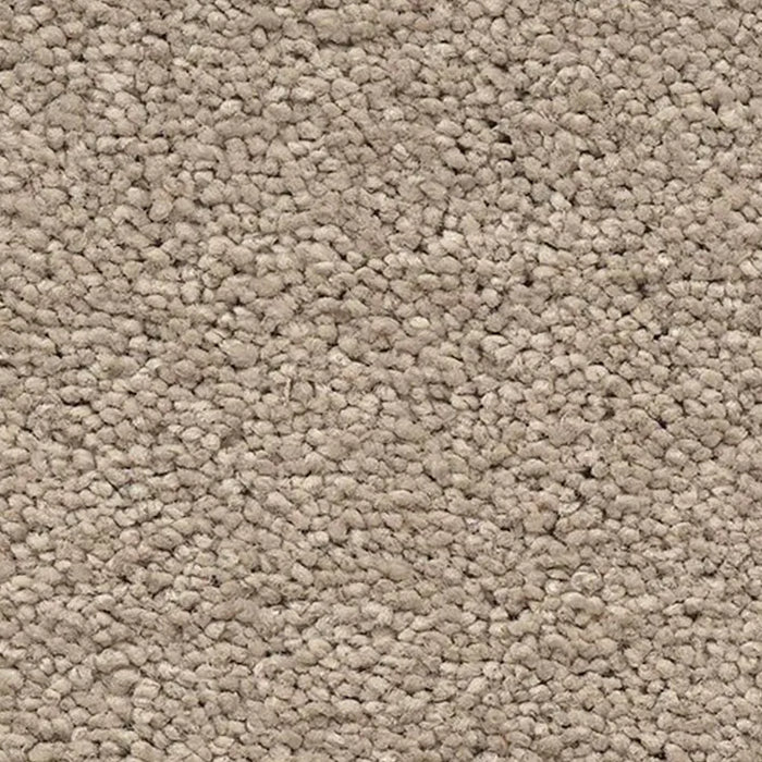 Belle Carpet - Roll