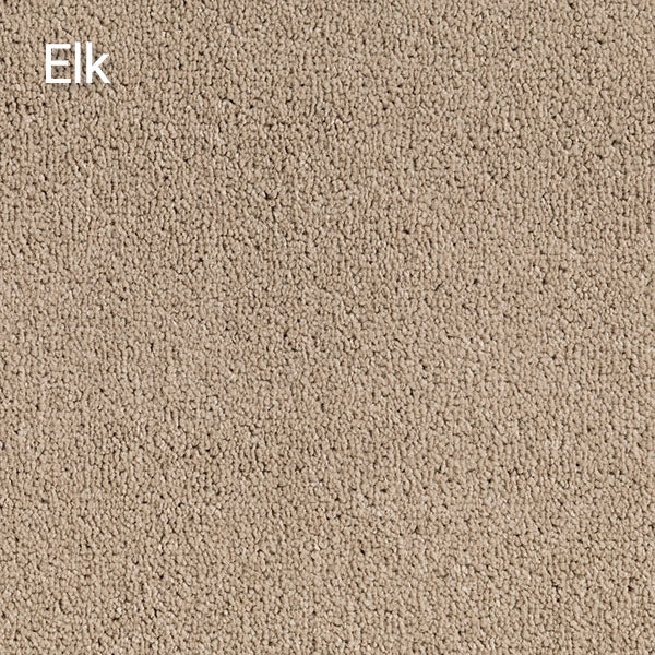 Compass – Affordable Solution Dyed Polyester Carpet