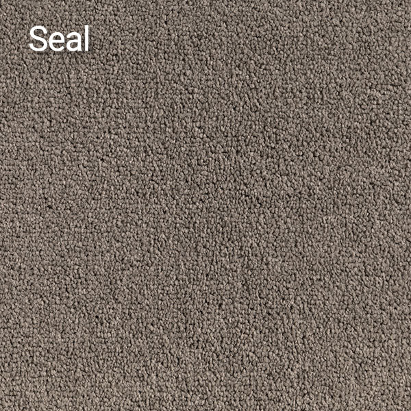 Compass – Affordable Solution Dyed Polyester Carpet