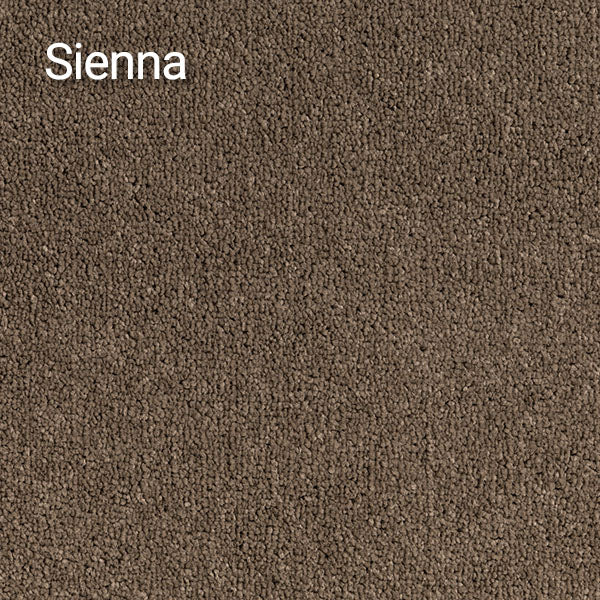Compass Carpet