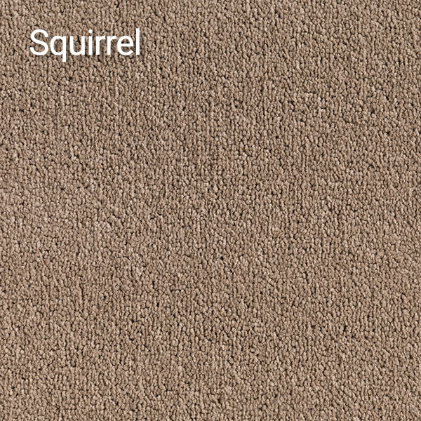 Compass – Affordable Solution Dyed Polyester Carpet