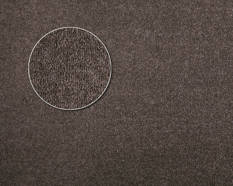 Apartment Carpet - Roll