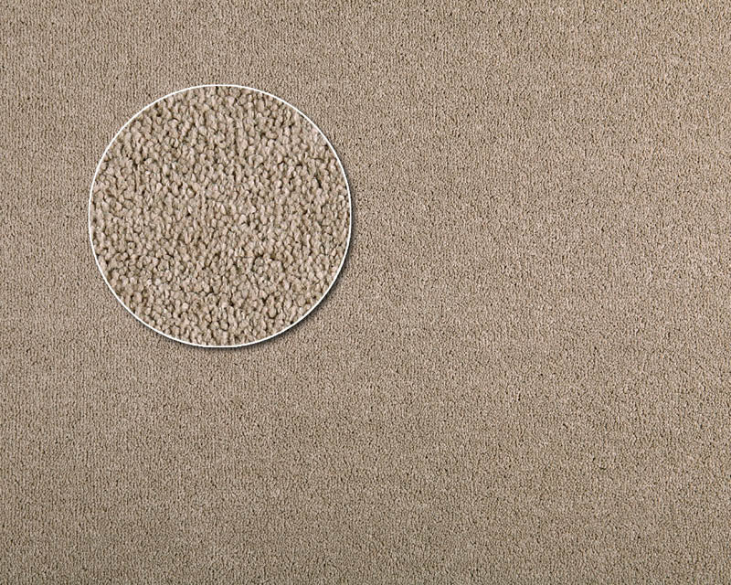 Apartment Carpet - Roll