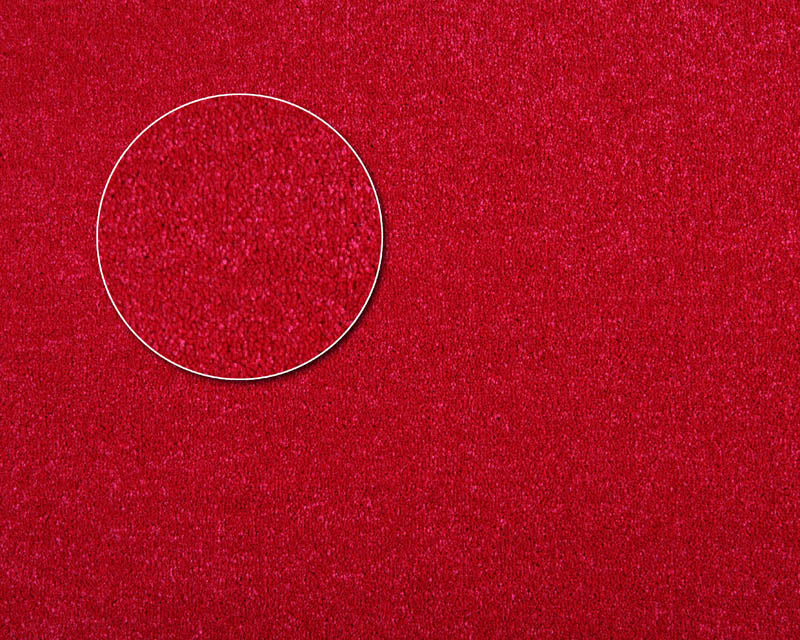 Apartment Carpet - Roll