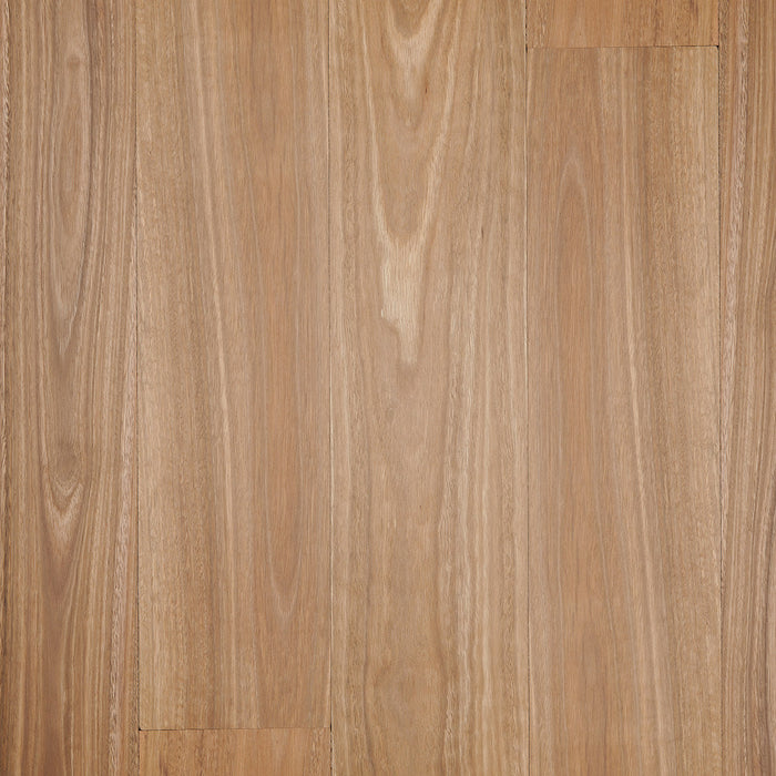 Solid Spotted Gum Timber Flooring