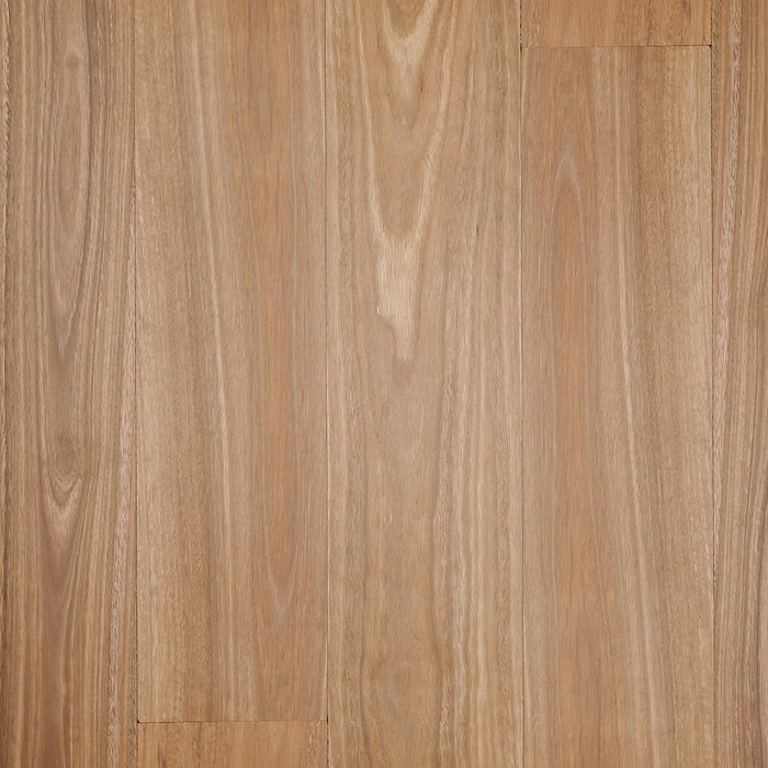 Solid Spotted Gum Timber Flooring