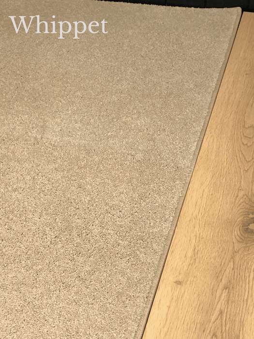 pacific dyed nylon carpet
