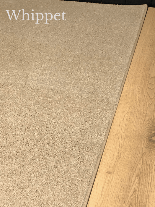 Pacific Carpet - Roll
