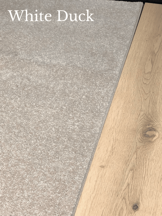 Pacific Carpet - Roll