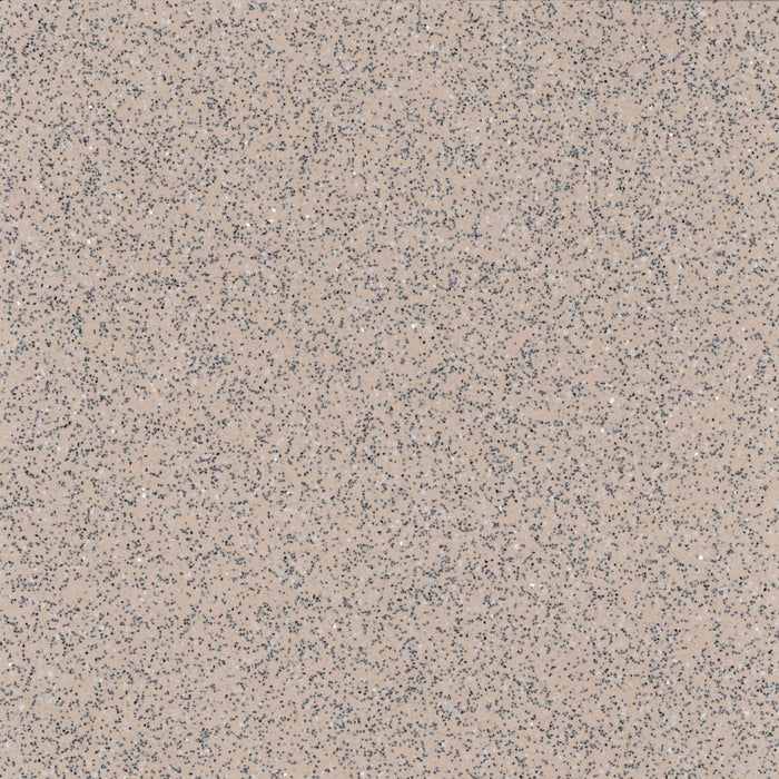 Safeguard Design Safety Vinyl - R12 - Desert Swatch