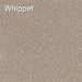 Whippet carpet