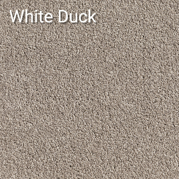 White Duck carpet