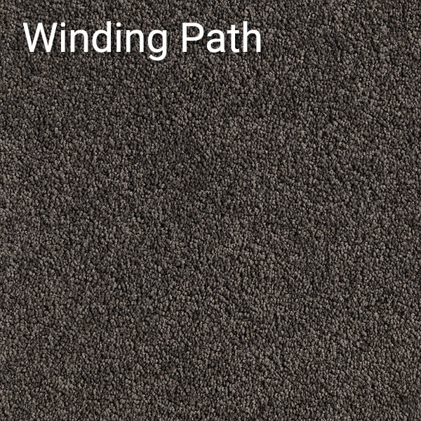 Winding Path carpet