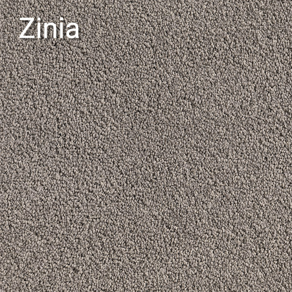 Zinia carpet