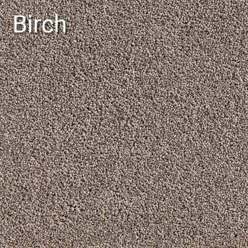 Birch carpet