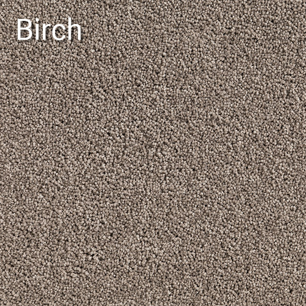 Birch carpet