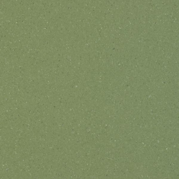 Accolade Foothold Safety Vinyl - Mossman