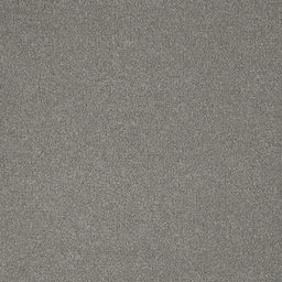 Westminster Carpet - Synth