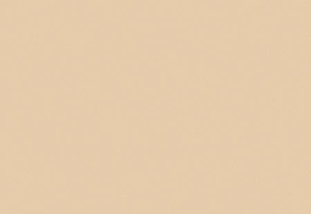 Bloc Vinyl Sheet - Caramel Blush